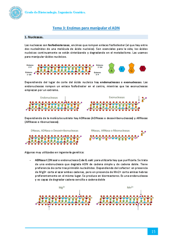 Miniatura del documento Tema-3.pdf