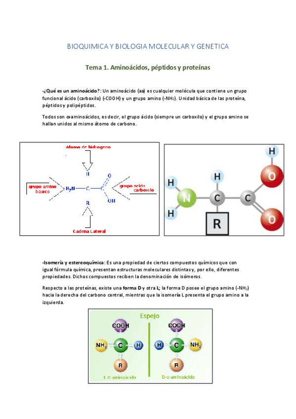 Miniatura del documento BIOQUIMICA-Y-BIOLOGIA-MOLECULAR-Y-GENETICA.pdf