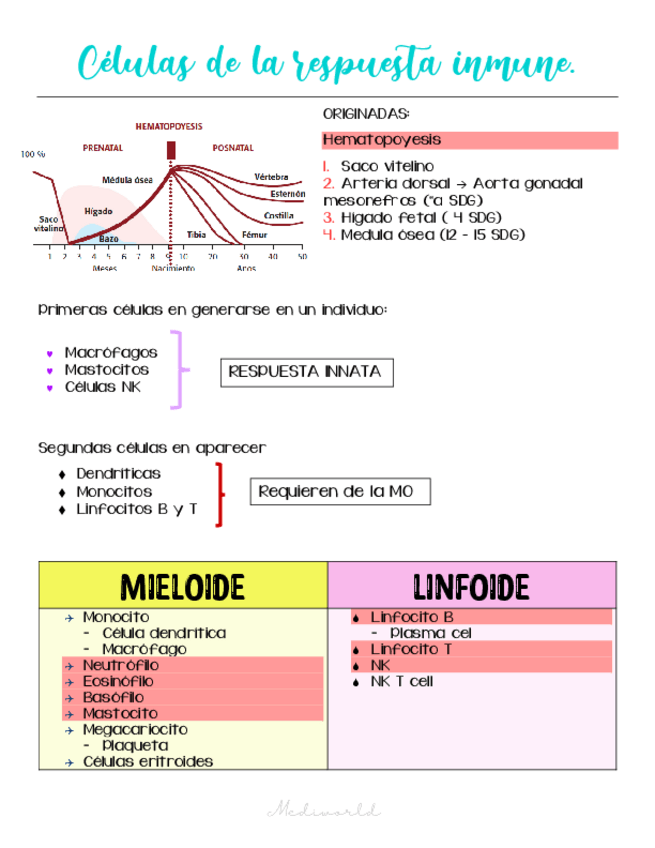 Miniatura del documento Celulas-de-la-respuesta-inmune.pdf