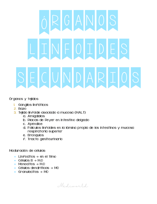 Miniatura del documento Organos-linfoides-secundarios.pdf
