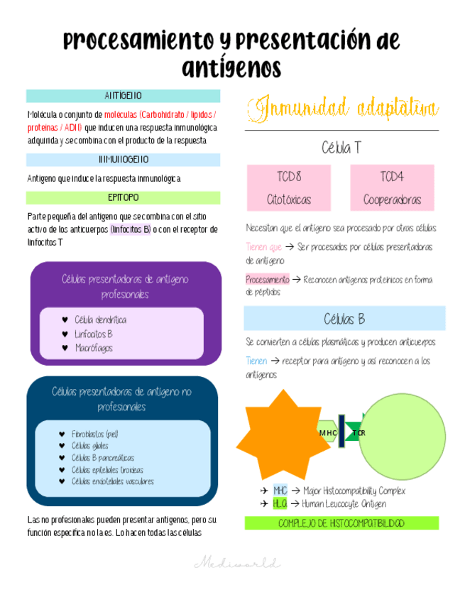 Miniatura del documento Procesamiento-y-presentacion-de-antigenos.pdf