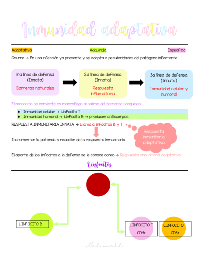 Miniatura del documento Inmunidad-adaptativa.pdf