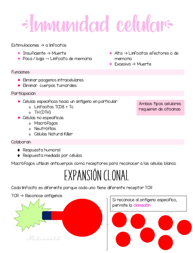 Miniatura del documento Inmunidad-celular.pdf