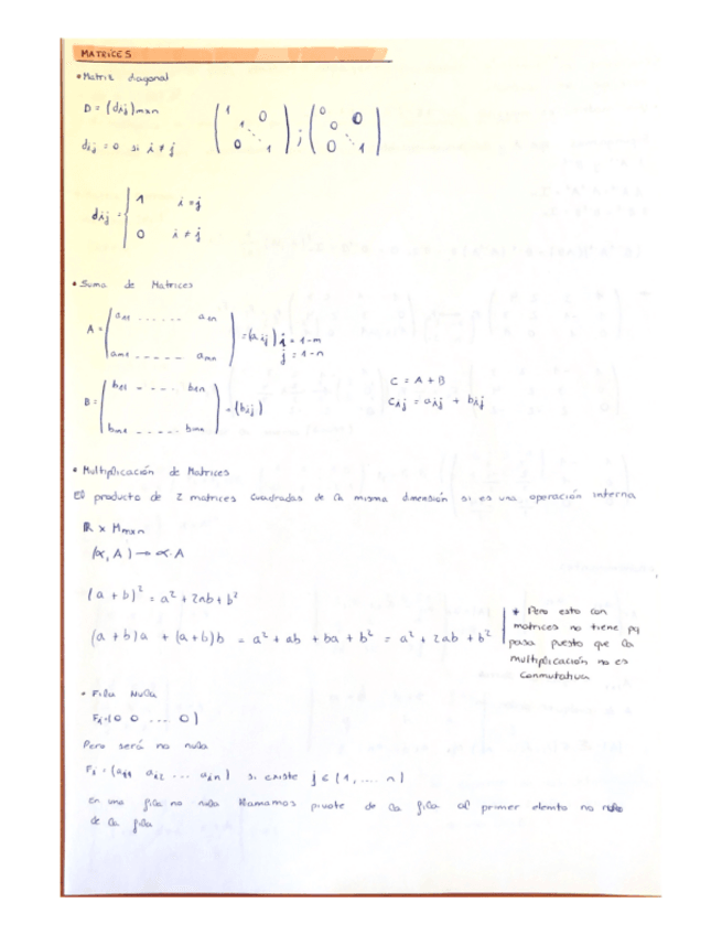 Miniatura del documento MatricesTEMA-1-2-3.pdf