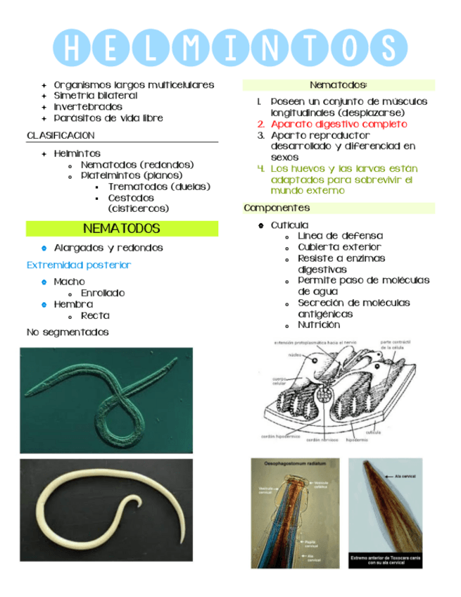 Miniatura del documento Generalidades-Helmintos.pdf