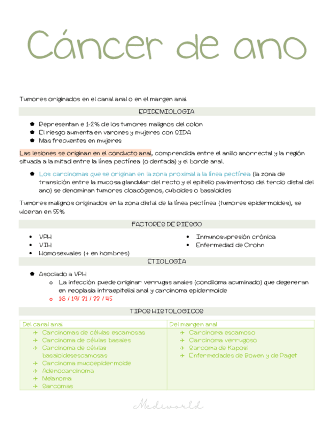 Miniatura del documento Cancer-de-ano.pdf