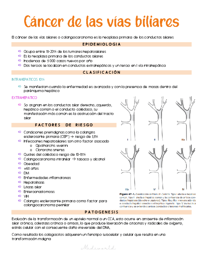 Miniatura del documento Cancer-de-vias-biliares.pdf