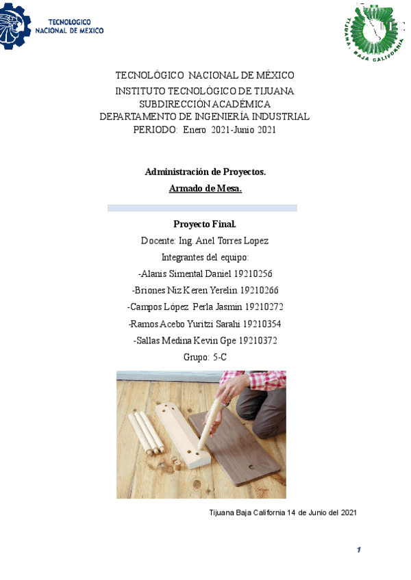 Miniatura del documento Proyecto-final-AP.pdf