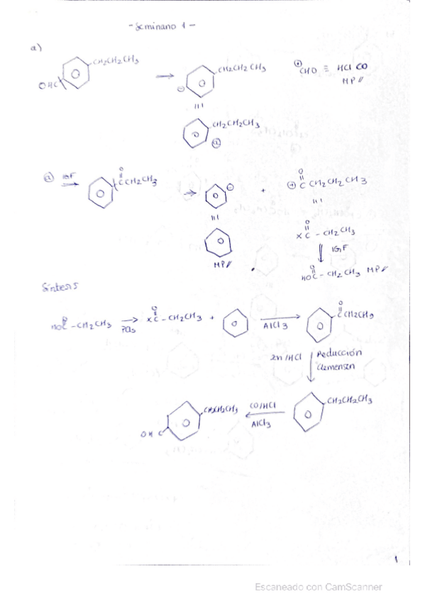 Miniatura del documento seminario-1.pdf