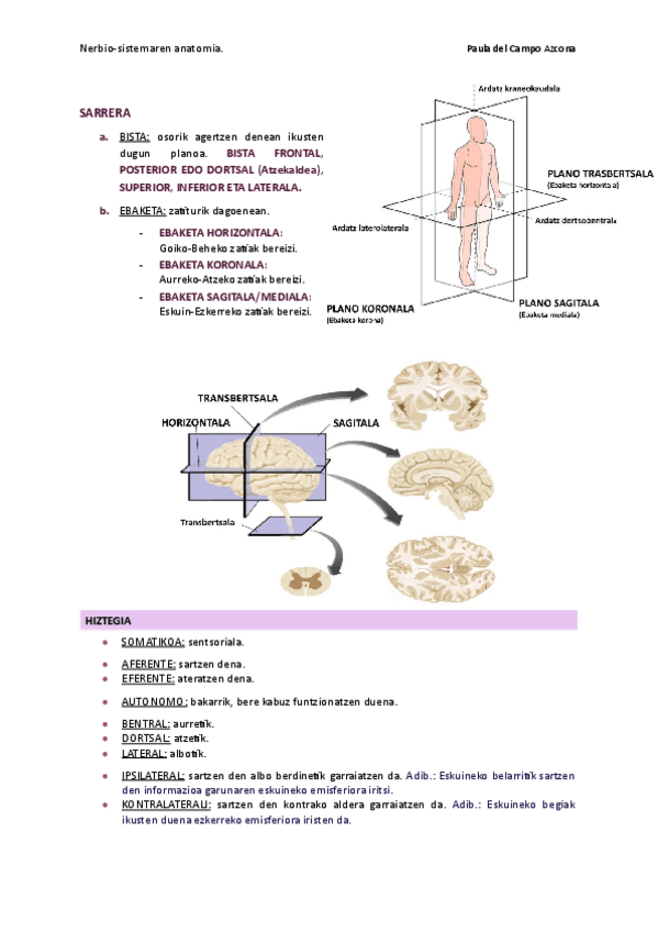 Miniatura del documento 3. Nerbio-sist. anatomia. 