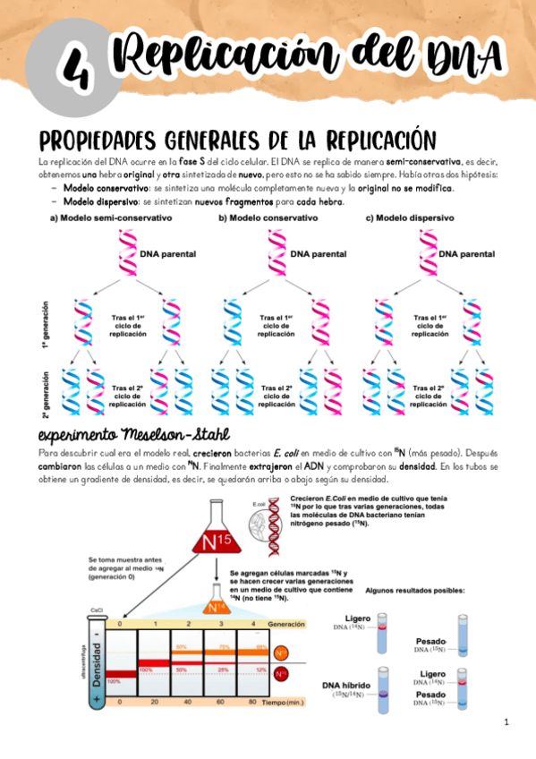 Miniatura del documento Tema-4.pdf