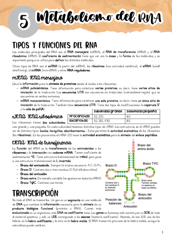 Miniatura del documento Tema-5.pdf