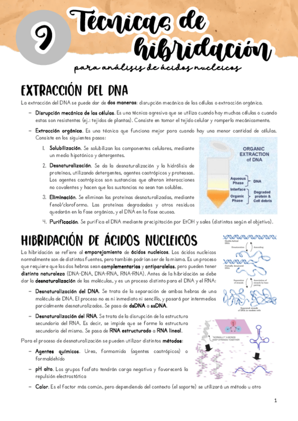 Miniatura del documento Tema-9.pdf