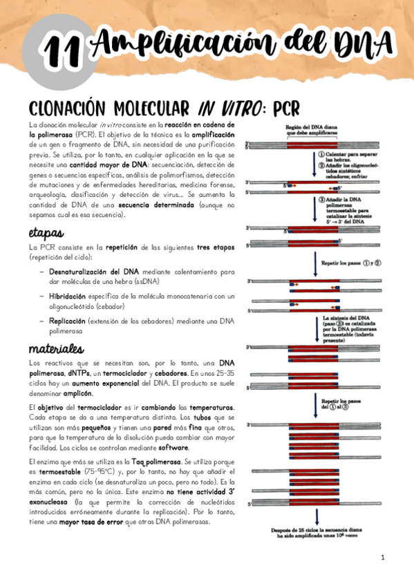 Miniatura del documento Tema-11.pdf
