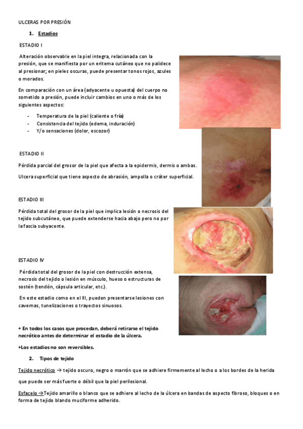 Miniatura del documento Resumen-UPP.pdf