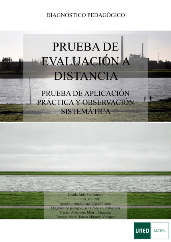 Miniatura del documento PEC-Diagnostico-Pedagogico-1.pdf