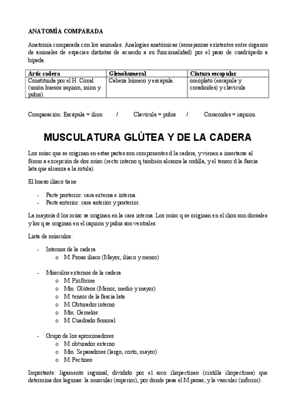 Miniatura del documento 4. MMII (II).pdf
