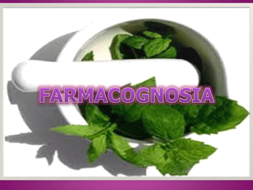 Miniatura del documento farmacognosia.pdf
