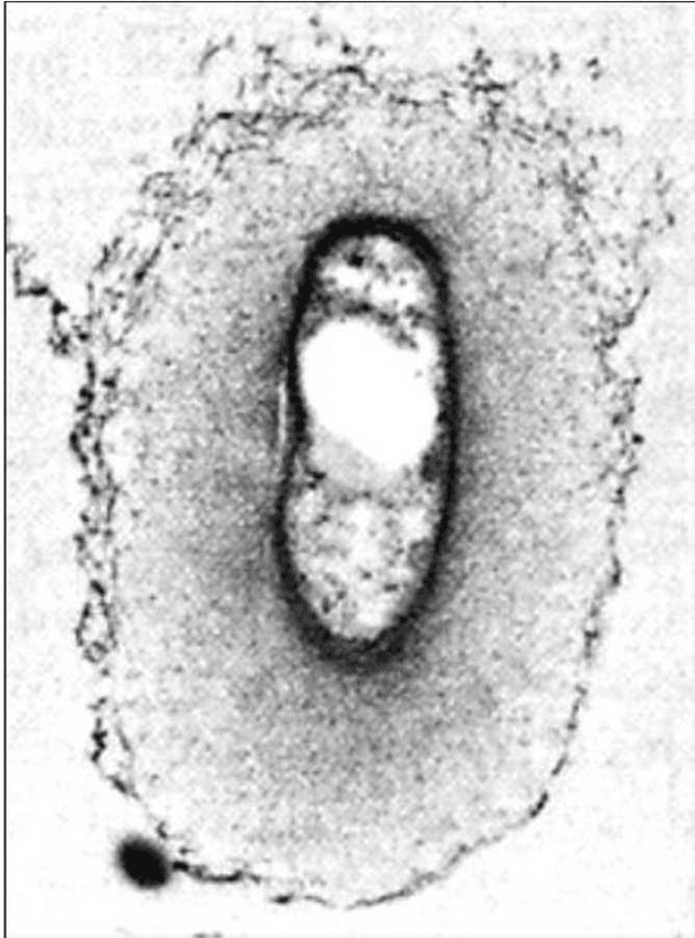 Miniatura del documento 23-0.jpg