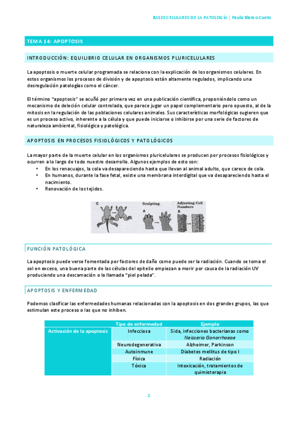 Miniatura del documento TEMA-14.pdf
