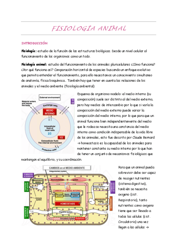 Miniatura del documento Fani-1o-cuatri-Ana-Valenciano.pdf
