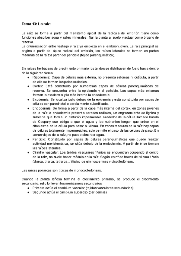 Miniatura del documento Tema-13-La-Raiz.pdf
