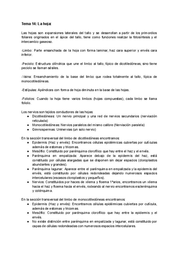 Miniatura del documento Tema-14-La-Hoja.pdf