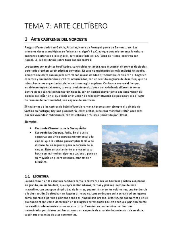 Miniatura del documento TEMA-7-ARTE-CELTIBERO.pdf
