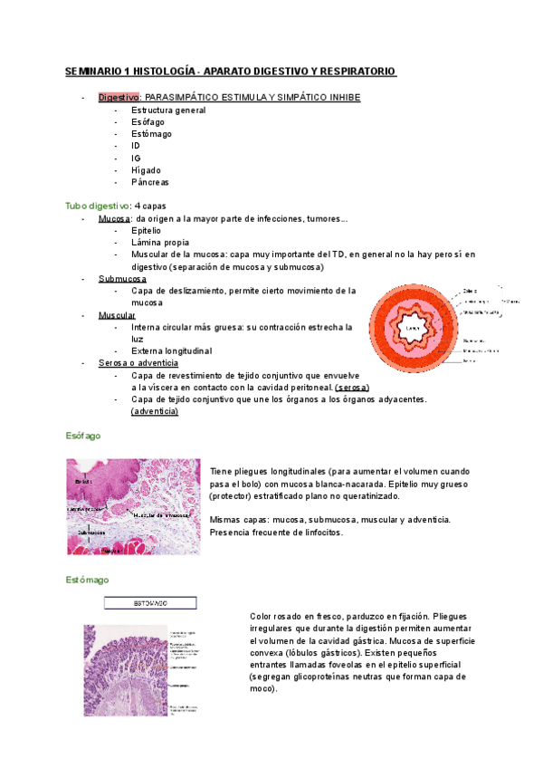 Miniatura del documento Seminarios-Histologia.pdf