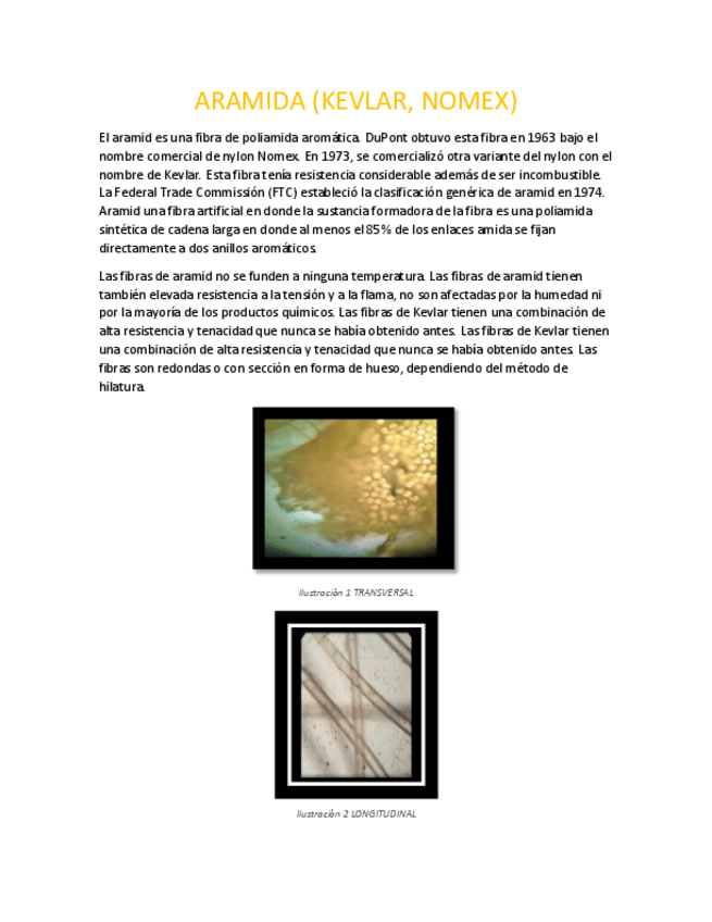 Miniatura del documento ARAMIDA-KEVLAR-NOMEX.pdf