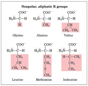 Miniatura del documento Captura-de-pantalla-2014-02-03-a-las-00.png