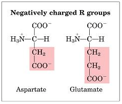 Miniatura del documento Captura-de-pantalla-2014-02-03-a-las-00.png