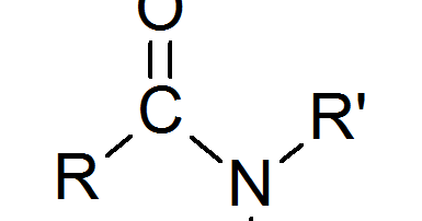 Miniatura del documento Amida.png