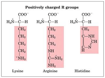 Miniatura del documento Captura-de-pantalla-2014-02-03-a-las-00.png