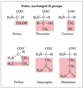 Miniatura del documento polares.png