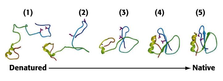 Miniatura del documento native.png