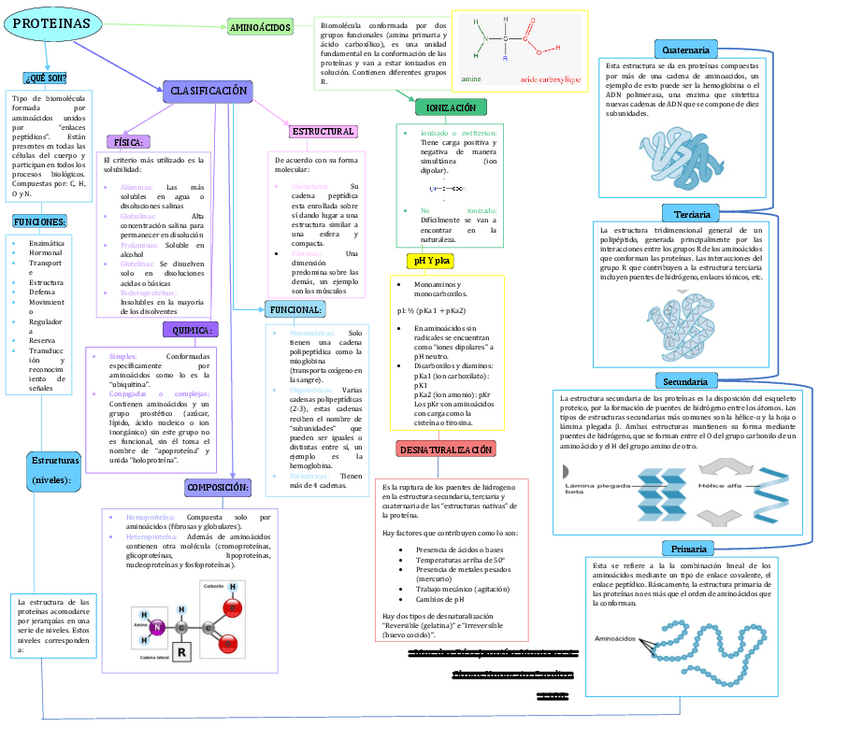 Miniatura del documento MAPA-DE-PROTEINAS.pdf