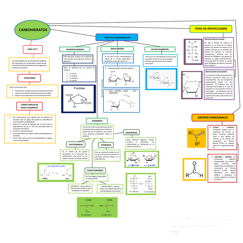 Miniatura del documento MAPA-CONCEPTUAL-DE-LOS-CARBOHIDRATOS.pdf