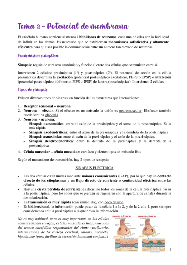 Miniatura del documento t8.pdf