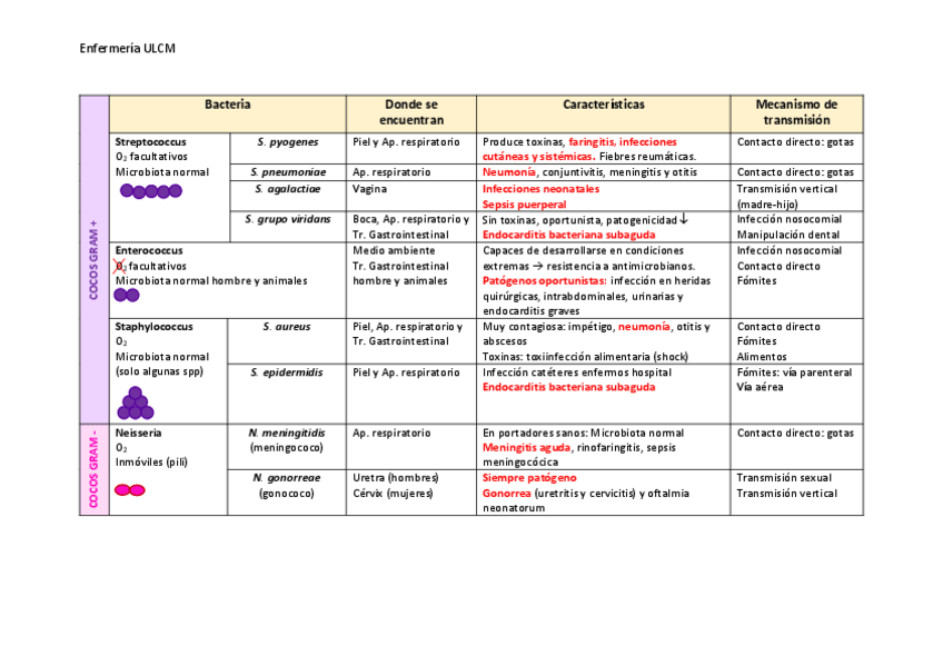 Miniatura del documento Esquema-bacterias.pdf