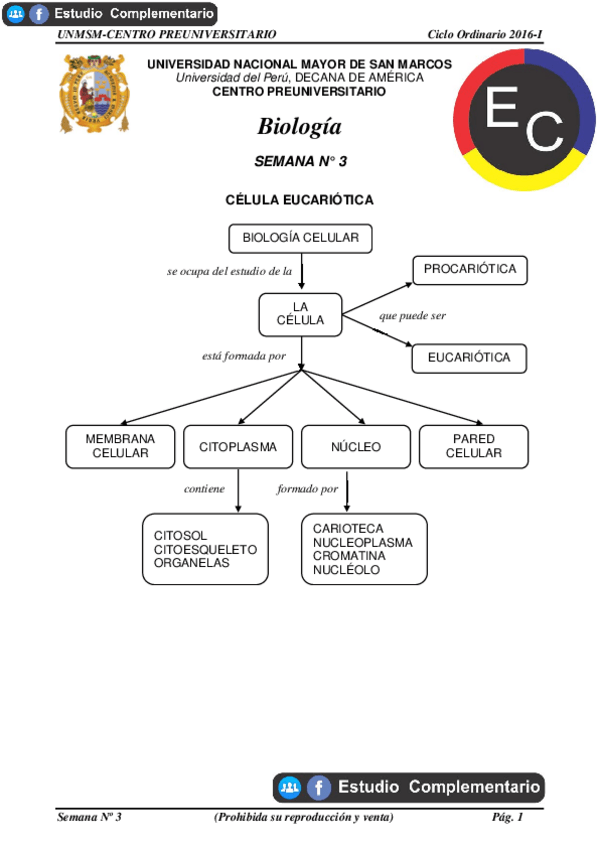 Miniatura del documento CELULA-EUCARIOTA.pdf
