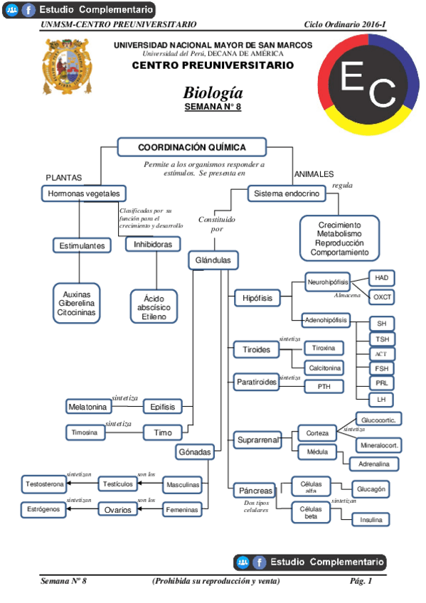 Miniatura del documento COORDINACION-QUIMICA.pdf