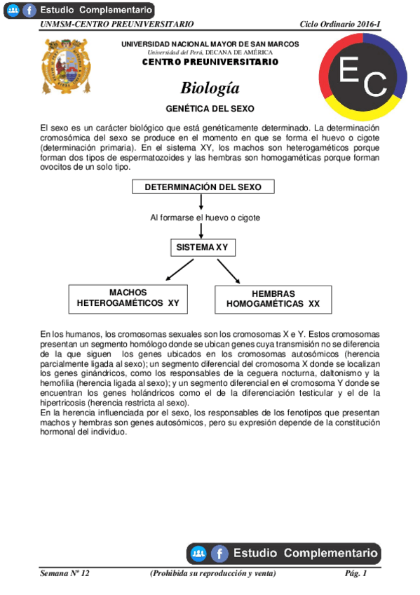 Miniatura del documento GENETICA-DEL-SEXO.pdf