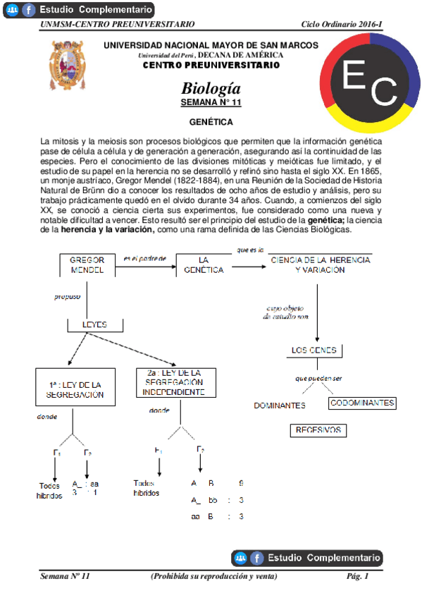 Miniatura del documento GENETICA.pdf