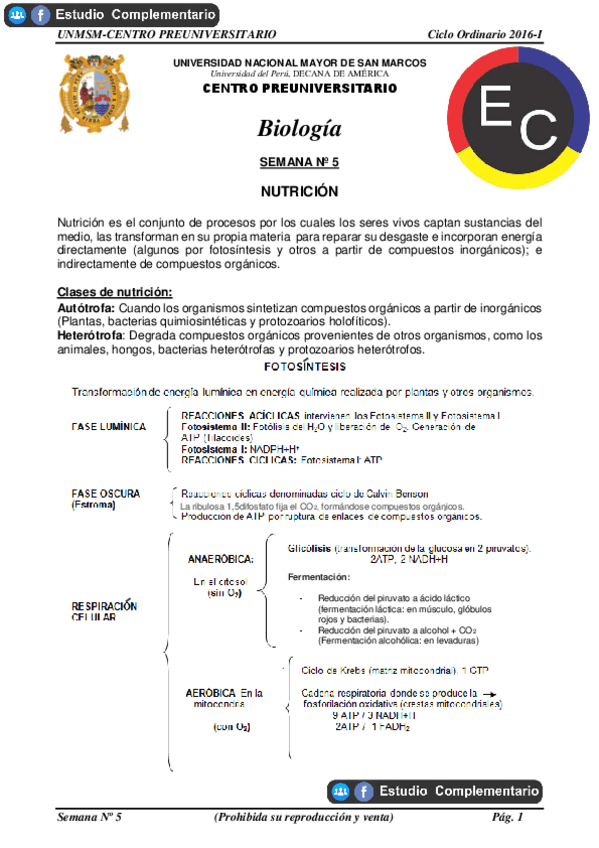 Miniatura del documento NUTRICION.pdf