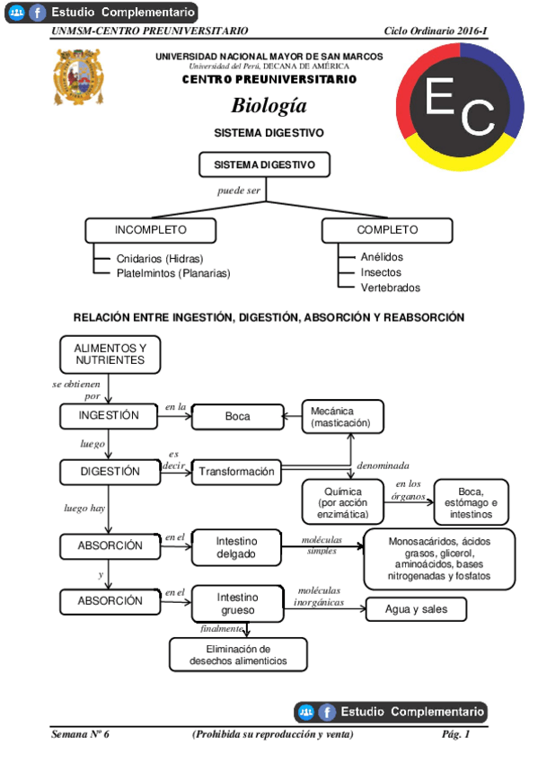 Miniatura del documento SISTEMA-DIGESTIVO.pdf