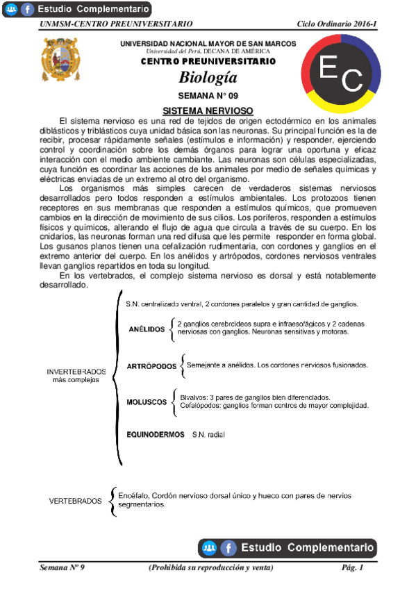 Miniatura del documento SISTEMA-NERVIOSO.pdf