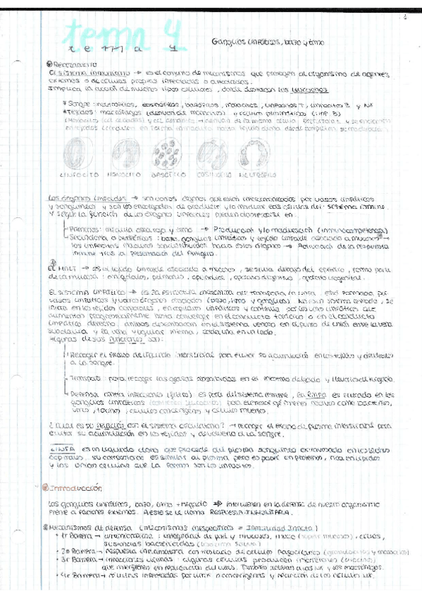 Miniatura del documento TEMA-4-GENERAL.pdf