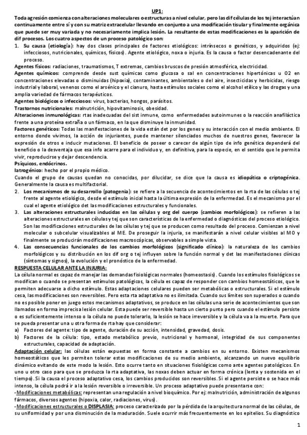 Miniatura del documento UP1-injuria-.pdf