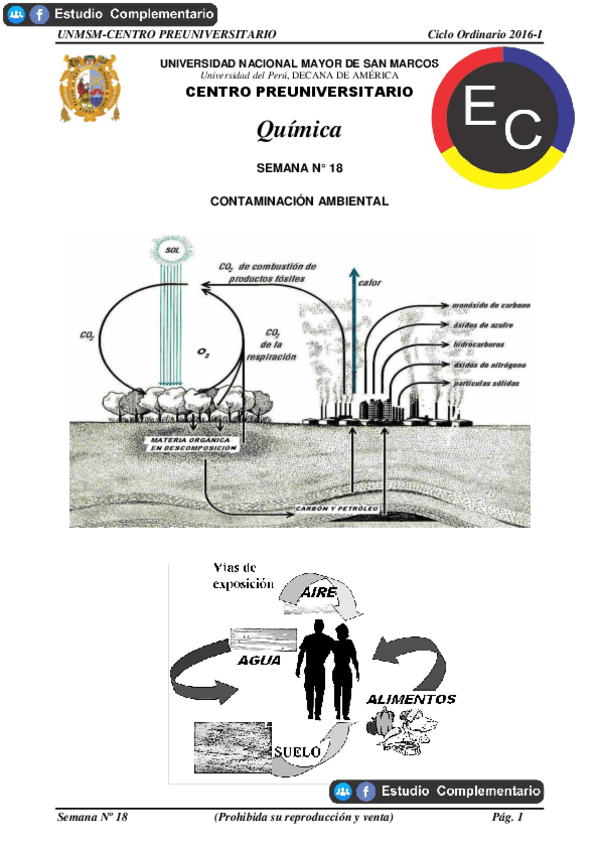 Miniatura del documento CONTAMINACION-AMBIENTAL.pdf